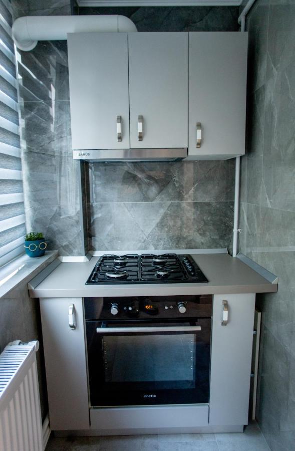 Loghin Residence Suceava Exterior foto