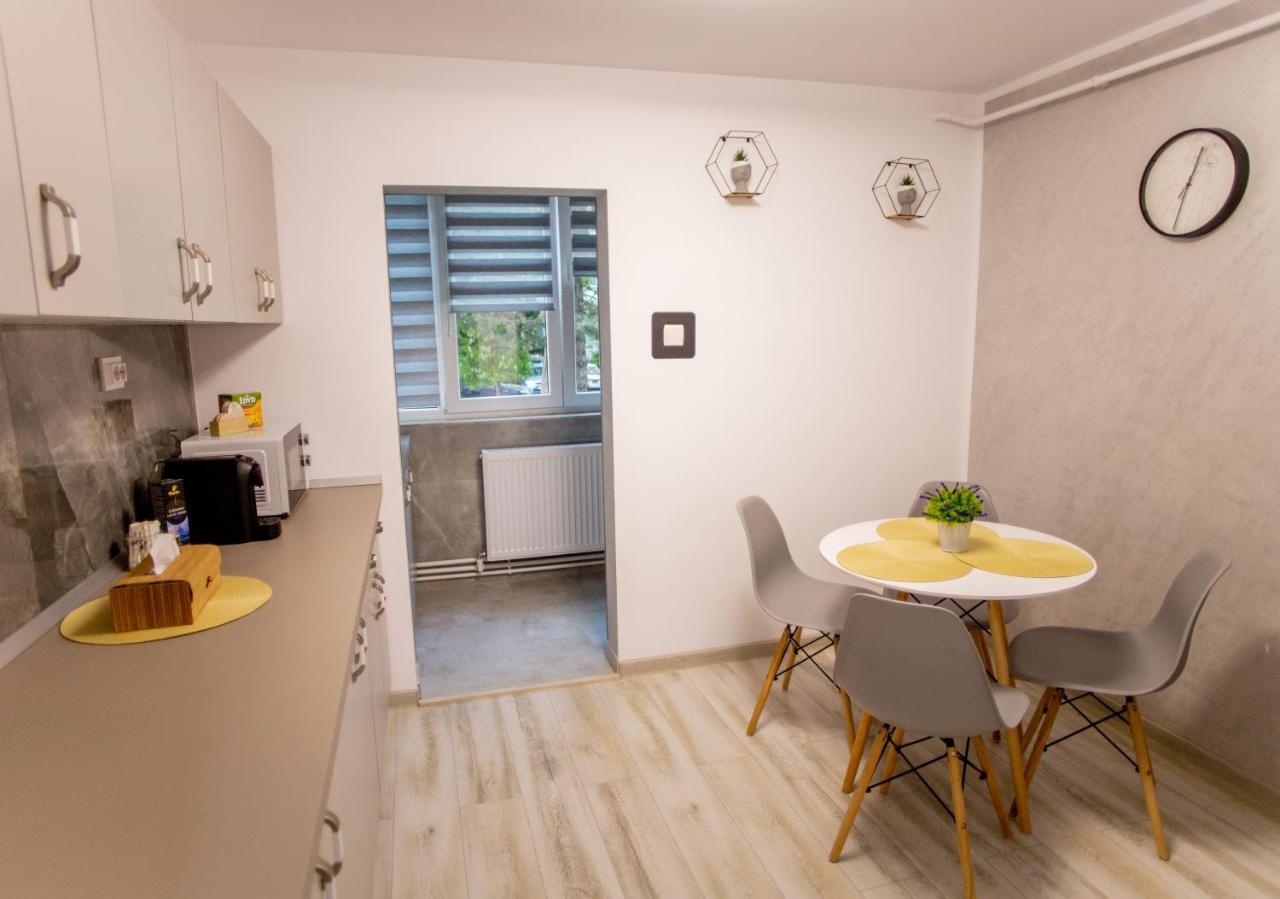 Loghin Residence Suceava Exterior foto